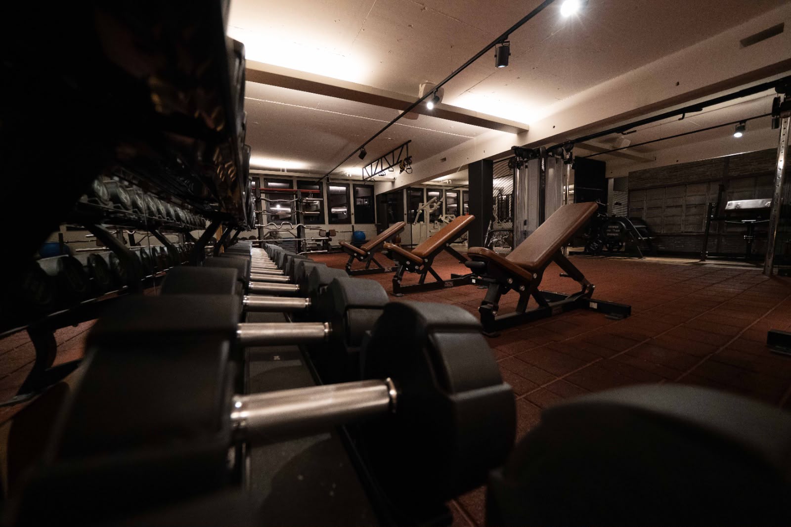 Krafttraining & Muskelaufbau